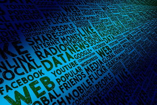 体育赛事转播权分配机制与商业价值分析研究，体育赛事转播权侵权案例