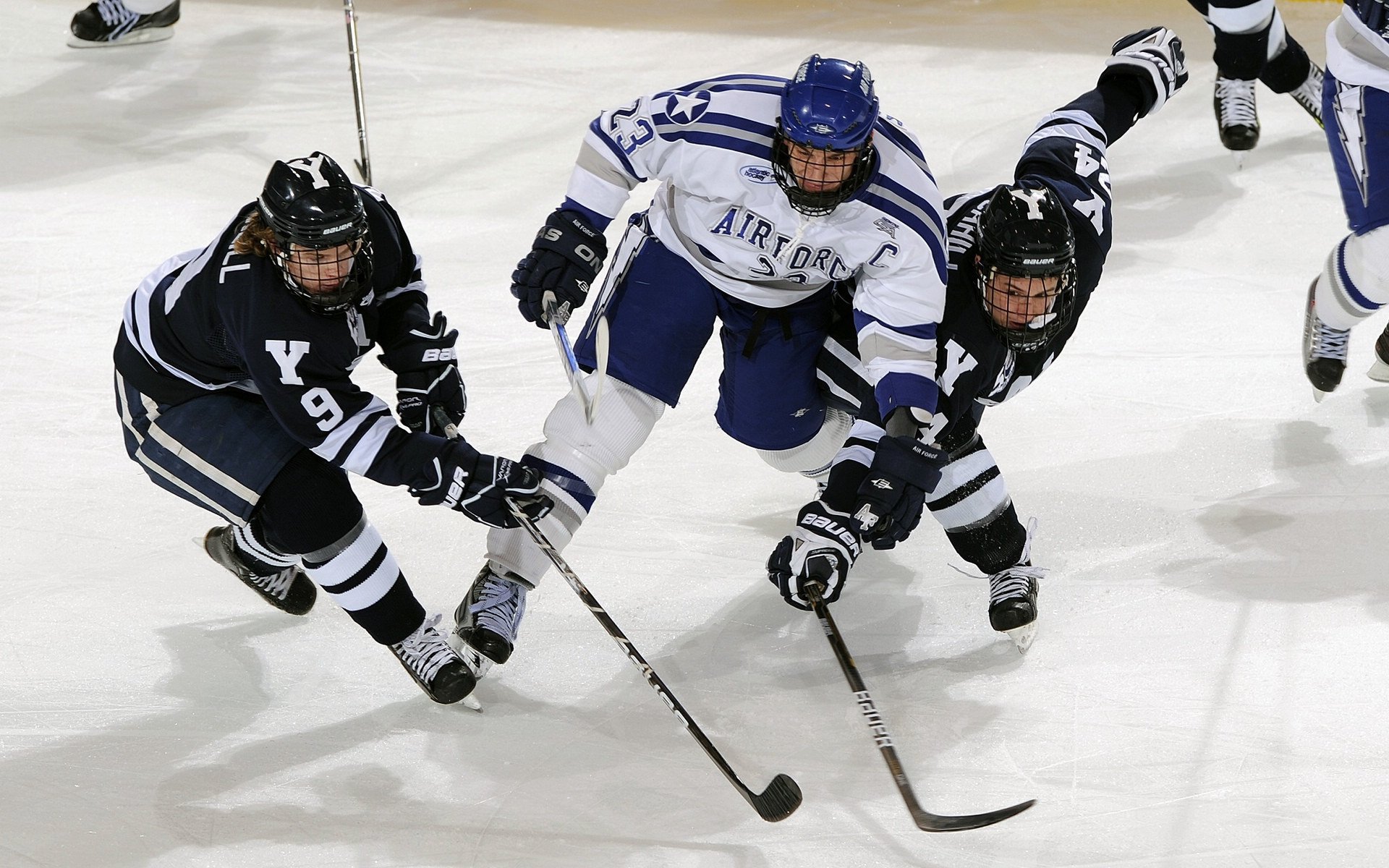 极限运动主题公园试运营引来广泛关注，极限运动体验馆在哪里